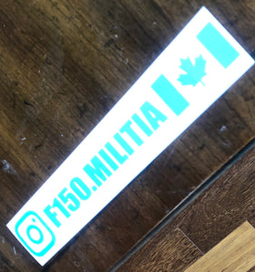 Light Blue F-150 Militia decal / sticker